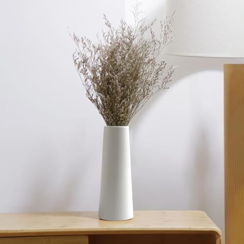 Simple Modern White Ceramic Vase - 10 Inch, Perfect for Pampas Grass, Rustic Table Centerpieces, Home Office Decor - color: White, size: Large: 10 inches