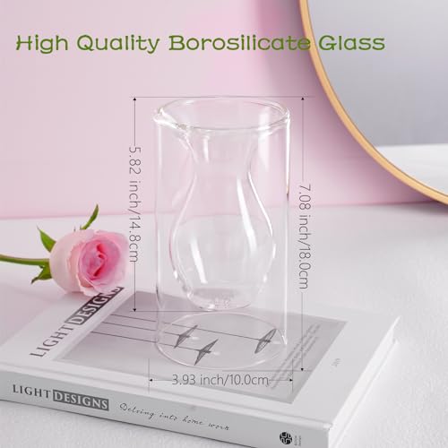 ZENS Unique Small Flower Vase, Modern Double Hollow Clear Glass Vase, Floating Decorative Vase Hand Blown Cool Bud Vase for Home Small Bouquet, Wedding Centerpieces - color: Transparent, size: 7 inch tall Lantern Vase