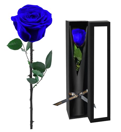 Preserved Flowers for Delivery,Blue Rose Bouquets That Last 5 Years,Birthday Flowers Gifts for Women Mom Grandma Wife Friends,Mothers Day Roses Gift,Romantic Floral for Anniversary or Valentine’s Day - color: Blue, size: Single Rose