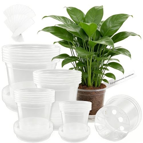 24 Packs Clear Nursery Pots for Plants with Saucers, 7/6/5/4 Inch Plastic Flower Pots with Drainage Hole, Variety Pack Seedlings Plant Pot with 24 Plant Labels - size: 4/5/6/7 24pcs
