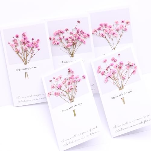30 Pcs Pink Baby's Breath Real Dried Pressed Flowers.Vacuum-Packed Mini DriedBaby's Breath Flowe Specimen +1 Tweezers, for Resin Art /DIY Making Wedding Card/ Home Party Decor.