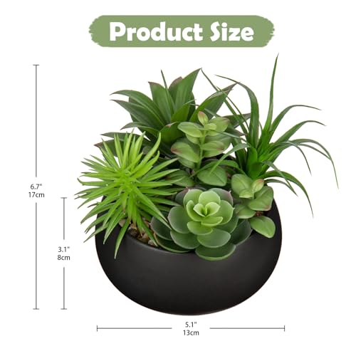Hollyone Fake Plants Artificial Succulents in Pots Faux Succulent Arrangement Potted Plant in Black Ceramic Planter Bowl for Home Decor Office Desk Bathroom Shelf Living Room Indoor Decorations - color: Premium Black
