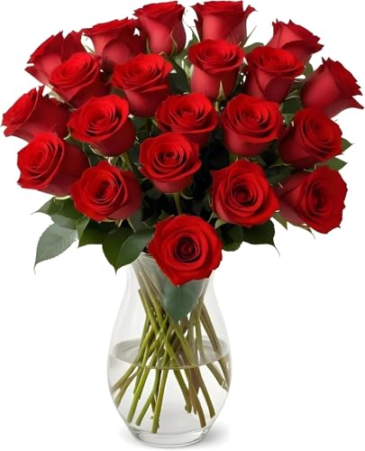 18 Red Roses with Vase | Arabella Bouquets | Real Fresh Flowers for Delivery, Gift for Birthday Women, Congratulations, Anniversary, Thank You, Mother's Day