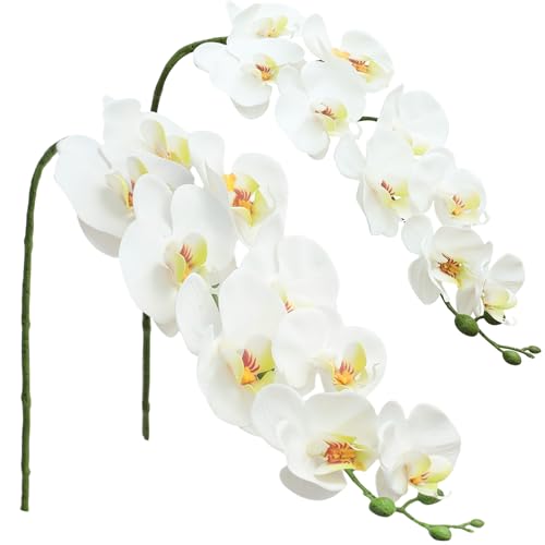 Floroom 2pcs Faux Phalaenopsis Orchid Fake Artificial Flower with Stems, Real Touch Large Blooms 40 Inch for DIY Bouquets, Wedding Centerpieces & Home Decor, White - color: White