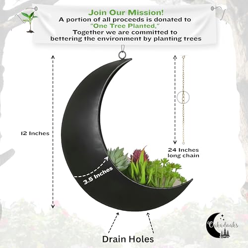 Black Hanging Moon Planter with Drain Holes - Moon Room Decor - Unique Planters for Succulents,Air Plant, Cactus, Artificial Plants- Plant Lover Gifts - Boho,Hippie, Birthdays,Witchy Gifts for Women - color: Black Moon With Drain Holes