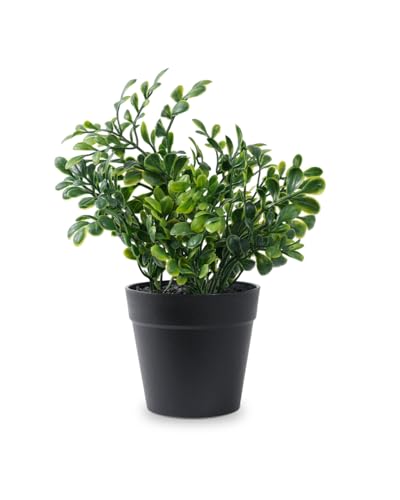 Fake Eucalyptus Potted Artificial Plant – Small Faux Eucalyptus for Desk, Bathroom, Shelf, or Home Decor, Realistic Greenery for Farmhouse, Office & Kitchen Decoration PA-011 - size: PA-011