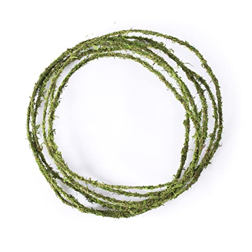 SuperMoss Floral Wire, 12 ft.