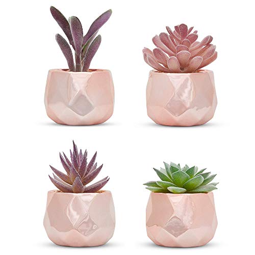 Nordik Set of 4 Desk Plants in Rose Gold - Office Decor for Women, Indoor, Living Room, Bedroom, Home and Desk Decor – Pink Faux Succulents Geometric Ceramic Planters - color: Rose Gold