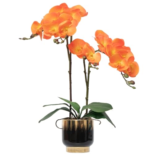 CXGS Orchids Artificial Flowers Real Touch Fake Flowers in Ceramic Pot 20" Orange Faux Orchid Plant Lifelike Silk Phalaenopsis for Centerpiece Hotel Home Indoor Decor - color: Orange- Black Gold Vase