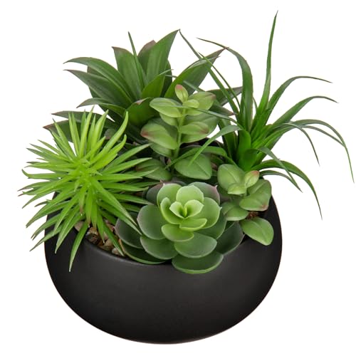 Hollyone Fake Plants Artificial Succulents in Pots Faux Succulent Arrangement Potted Plant in Black Ceramic Planter Bowl for Home Decor Office Desk Bathroom Shelf Living Room Indoor Decorations - color: Premium Black