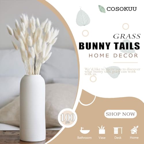 Bunny Tails Dried Flowers 100pcs Dried Pampass Grass Decor Bunny Tail Floral Stems 17 Inch Dried Flowers for Boho Decor Home Wedding Decoration Plants (Natural) - color: Natural