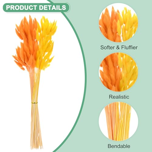 M METERXITY 120-Pack Bunny Tails Grass 17 Inch Fluffy Rabbit Tail Grass Dried Flowers Branches Vase Filler Dried Pampas Grass Decor for Home/Wedding/Vase/Office/Party [Orange, Golden Yellow] - color: Orange, Golden Yellow