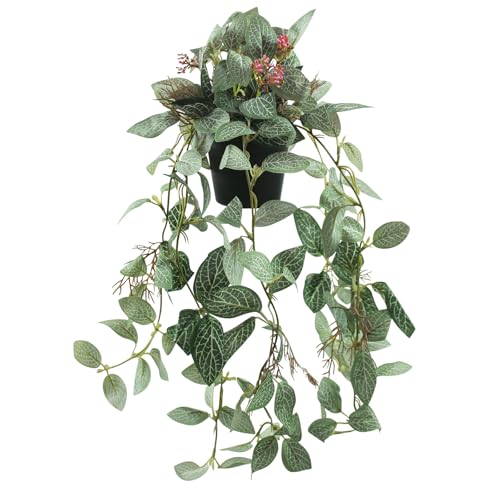 Artificial Hanging Ivy Plants Realistic 3D Watermelon Texture with Flower Buds Fake Potting Leaves Faux Peperomia Vine Green Plants for Indoor Outdoor Home Garden Decor - color: B