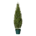 National Tree Company 36 Inch Artificial Arborvitae Topiary Tree, Realistic Fake Tree Potted Plant, Dark Green Round Growers Pot - size: 3ft