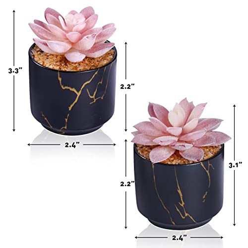 ZENIDA Succulent Artificial Plants,Cute Fake Succulents in 2 Black Ceramic Pots,Small Fake Plants for Office,Table,Desk,Bathroom, Bedroom,Aesthetic Room Shelves Decor,Desk Decorations for Women Office - color: Black