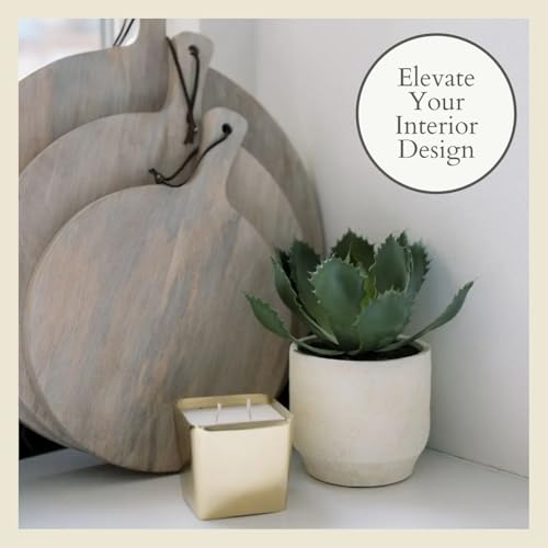 CG Hunter Round Faux Succulent Arrangement, Set-of-2 Premium Artificial Indoor Plants Enhances Interior Design, Display on Any Surface in Your Home Adding an Inviting Touch of Nature, Pots Included - size: 10" Set-of-2