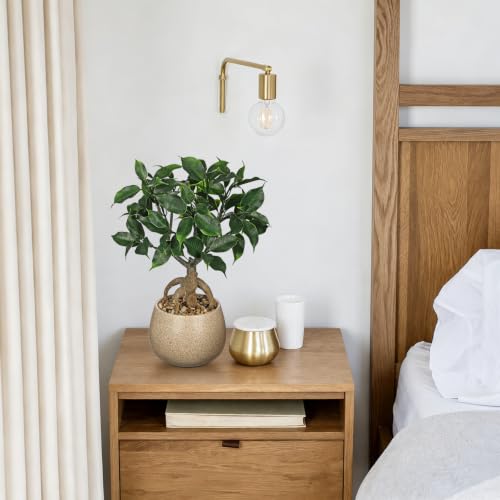 Artificial Bonsai Tree Fake Small Ficus Plant with Ceramic Pot Indoor Plant | 13.7" Faux Plants Indoor Small Artificial Plants in Pots Fake Potted Desk Plant for Bathroom Office Table Shelf Zen Decor - color: Green Ficus&brown Speckled Matte Pot
