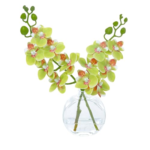 Apple Green Orchid Artificial Flowers Fake Flowers Small Fake Plant Table Shelf Decor Flower with Vase Fake Water - color: Orchid Apple Green 1pcs