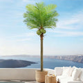 Roselywed Artificial Phoenix Palm Tree 8FT with 15 Leaves & 3 Coconut Fruit & Real Bark Tropical Areca Sago Palm Tall Large Faux Plant 94 Inch Black Pot for Indoor Outdoor Home Poolside Mall Decor - size: 8ft