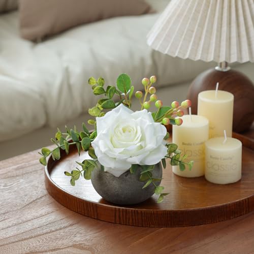 mizii DIY Small Artificial Flowers Potted Kit Fake Flower Realistic Silk Rose and Greenery with Vase for Gifts Table Centerpiece Mantle Office Desk Shelves Living Room Decorations (White) - color: White
