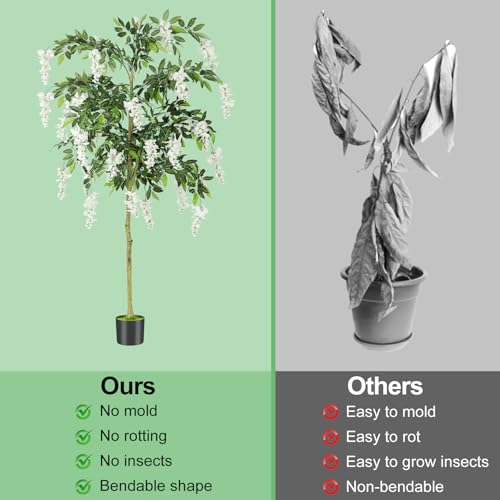 6FT Ficus Tree Artificial Indoor Tall Faux Wisteria Tree in Nursery Pot Fake Potted Tree with Blooming White Flowers and Real Wood Trunk for Home Office Living Room Decor