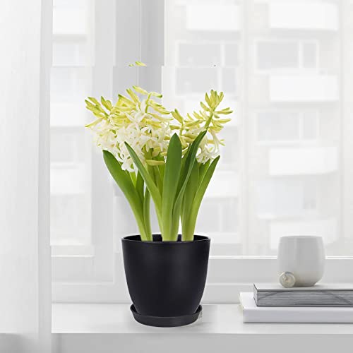 SwinDuck Plant Pots, 12 Pack 6 inch Modern Plastic Planters with Drainage Holes and Saucers for Indoor Outdoor Plants and Flowers, Black - color: Black