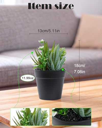 Faux Assorted Succulents - Artificial Succulent Plants for Desk, Bathroom, Shelf, or Home Decor, Realistic Greenery for Farmhouse, Office & Kitchen Decoration PA-017 - size: PA-017