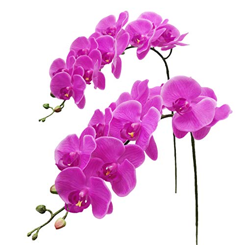 Fnize Artificial Orchid Stems Real Touch Latex Phalaenopsis Branches Faux Cymbidium Flowers 9 Large Petals 38 Inches 2pcs (Purple) - color: Purple