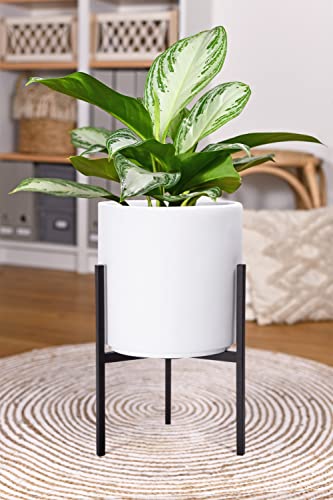 D'vine Dev Modern White Plants Pot Cylinder Planter with Heavy Duty Stand, Small 8 Inch Pot, 15 Inch with Stand Height, 96-T-A-1 - color: White, size: Small 8 Inch