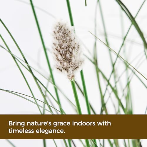 3FT / 4FT Extra Lush Artificial Plant (2pcs), Luxury Fake Tall Plants with Pot, Luxury Faux Tall Greenery with Dogtail for Garden Porch and Home Decor (Gray, 4FT) - color: Green With Gray Tail, size: 4FT