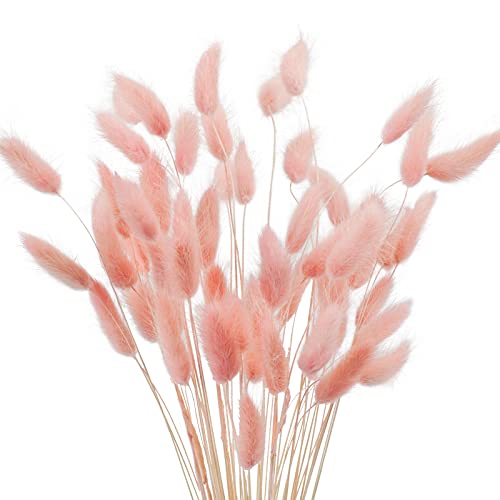 Uieke 17’’ Natural Bunny Tails Dried Flowers, 50 Pcs Dried Lagurus Ovatus, Dried Pink Pampas Grass Decor for Farmhouse Flower Arrangements Wedding Home Boho Party Decorations - color: Pink-50pcs