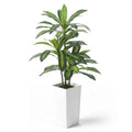 Fencer Wire Artificial Dracaena Tree 4FT – Tall Faux Dracaena Floor Plant in White Planter, Low Maintenance Indoor Tree for Living Room Office Corner - size: 4 FT