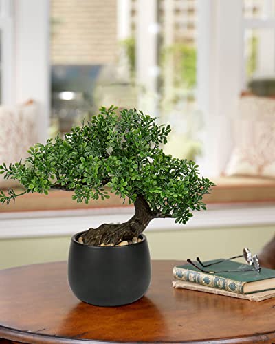 Artificial Bonsai Tree Juniper Faux Plants Indoor Fake Plants Decor with Ceramic Pots for Home Table Office Desk Bathroom Shelf Bedroom Living Room Farmhouse Decorations - style: Ficus