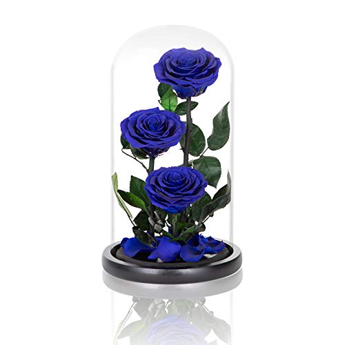 Preserved Roses Handmade Preserved Flowers in Glass Dome, Blue Rose Never Withered, Birthday Gifts for Women (13 inch) - color: Royal Blue, size: X-Large