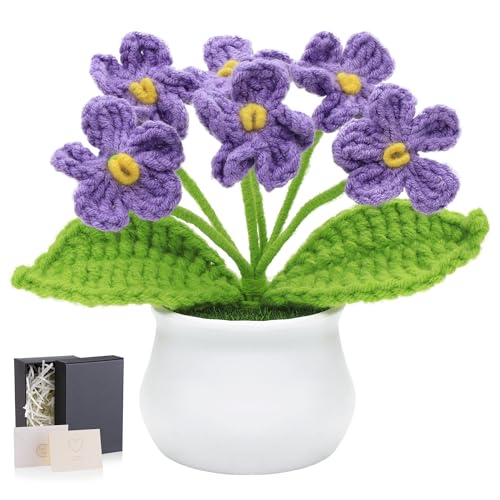 LAIDANLA Purple Crochet Flowers Forget Me Not, Small Handmade Flower Potted Plants for Desk, Anniversary Graduation Appreciation Birthday Gifts for Women Mom Teacher Coworker Friend - color: Purple