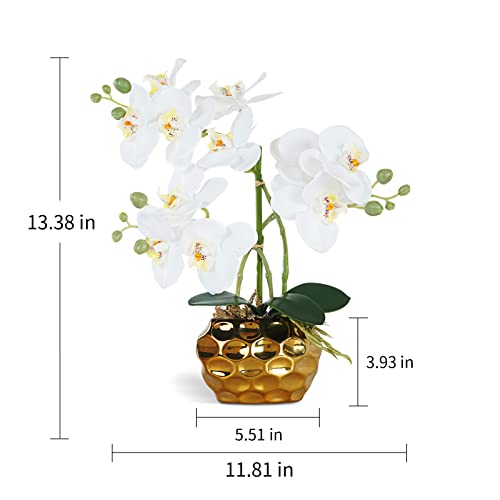 Ziwon Artificial Orchid Flowers & Plants Potted in Ceramic Pot, White Faux Phalaenopsis Orchids for Table Centerpiece, Realistic Fake Flower Arrangement for Home Office Decor Indoor - color: White & Gold 01