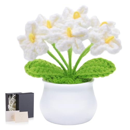 LAIDANLA Crochet Flowers Forget Me Not, White Crochet Flower Potted Plant for Desk, Handmade Anniversary Graduation Birthday Small Gifts for Women Friend Teacher Mom Coworker - color: White