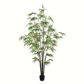 Vickerman Everyday 6' Artificial Potted Black Japanese Bamboo Tree - Premium Lifelike Faux Plant for Home or Office Decor - Maintenance Free Bamboo Tree - size: 6ft