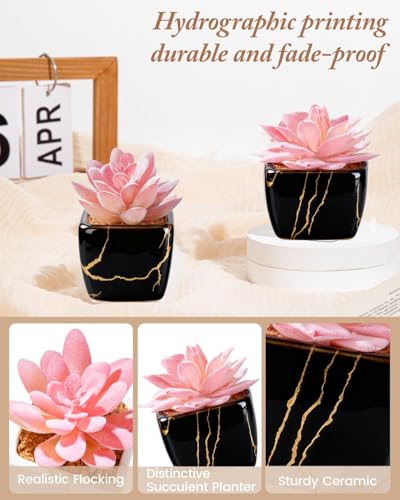 Taybonds Artificial Succulent in 2PCS Black Ceramic Pot, Small Fake Succulents Plants for Office and Desk Decor,Bathroom, Bedroom, Shelves, Vanity for Women - color: Black