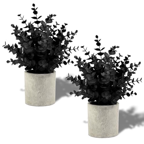 Coferset 2 Pack Black Fake Eucalyptus Small Fake Plants Potted Artificial Plants for Halloween Shelf Desk Home Farmhouse Room Coffee Table Decor Bathroom Decor (Black) - color: Black-small