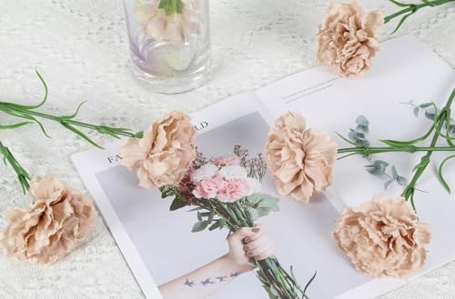 IPOPU Carnations Artificial Flowers,6PCS Real Touch Beige Flowers 20'' Long Stem Fake Carnations for Tall Vases Home Wedding Party Table Centerpieces Decor (Beige) - color: Beige