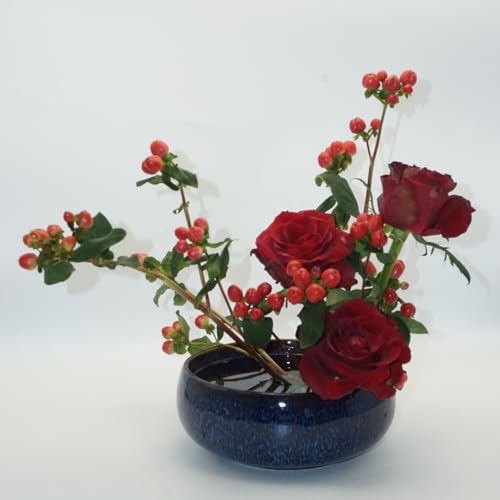 Water Lotus Bowl Planter Kit - Japanese Compote Bowl Ikebana Vase Set w/ 1.8" Floral Frog- Ideal for Ikebana, Flower Arrangement & Hydroponic Planting (Blue) - color: Blue