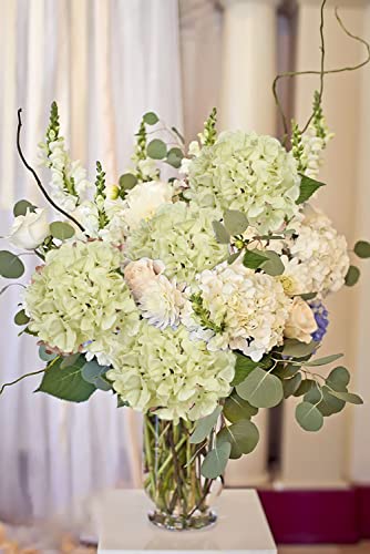 DILATATA 4 Pcs Dried Touch Hydrangeas Artificial Flowers 17" Tall Large Silk Hydrangea Stems Fake Hydrangea Arrangements for Home Office Table Centerpieces-Cream Hydrangea - color: Cream #44, size: 4PCS