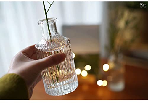 Set of 3 Mini Clear Glass Vase,Small Flower Bud Vase Hydroponics Planter Decorative for Flower,Table,Party,Home,Centerpieces(Clear 3) - color: Clear 3