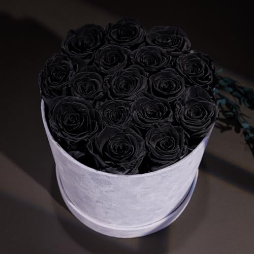 Prifroti 17 Flowers in a Luxury Suede Box, Birthday Gifts for Women, Preserved Flowers, Mothers Day Roses Gift for Mom, Black - color: Black, size: 17 Roses