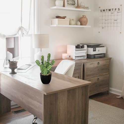 Artificial Cactus Plants 9.8 inch Small Faux Cactus Plants Indoor Fake Desert Cacti Succulents Plants Artificial Plant Indoor with Pot Cacti Decorations for Home Decor Office Desk Tabletop Shelf - size: SUP_168