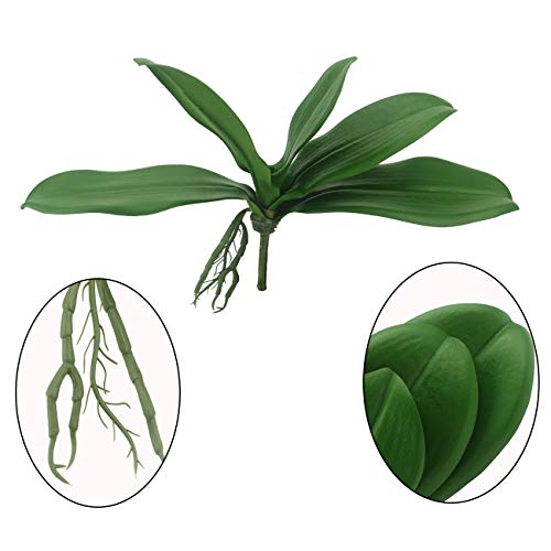Tinsow Artificial Green Phalaenopsis Simulation Moth Orchid Leaf Real Latex Touch Green Plant for Flowers Garden Bonsai Decor (5, 9.5"/5 Leaves)