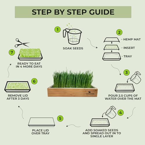 Rabbit Grass Growing Kit – Easy, Self-Watering System for Fresh, Healthy Indoor Greens - color: Rabbit Grass Kit