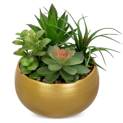 Briful Fake Succulents in Gold Metal Pot, Artificial Succulent Plants Arrangement for Home Decor, Small Faux Potted Plants Tabletop Centerpiece, Desk Office Bathroom Shelf Decorations - color: Gold#2
