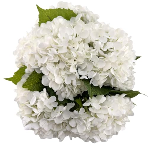Calm Elegance - Real Touch - Faux Floral Arrangement, Premium Artificial Indoor Flower Display with Beautiful Blooms and Foliage - High Energy Natural Looking Floral - color: Calm Elegance - Real Touch